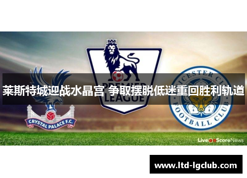 莱斯特城迎战水晶宫 争取摆脱低迷重回胜利轨道